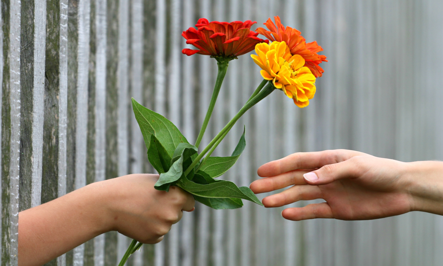 Teachers Day Gift Ideas 