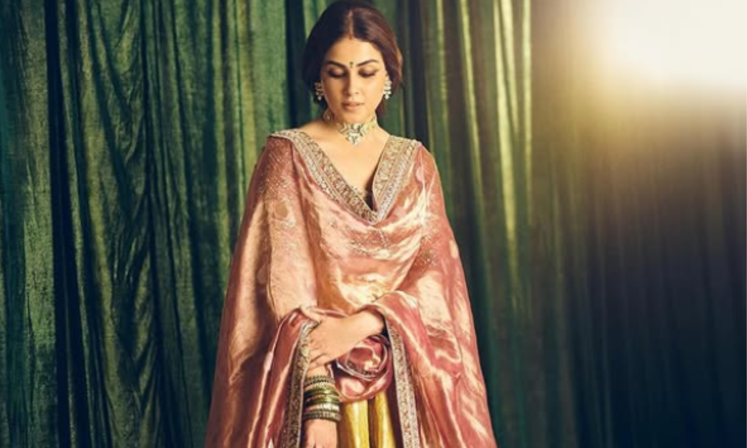 Genelia Deshmukh